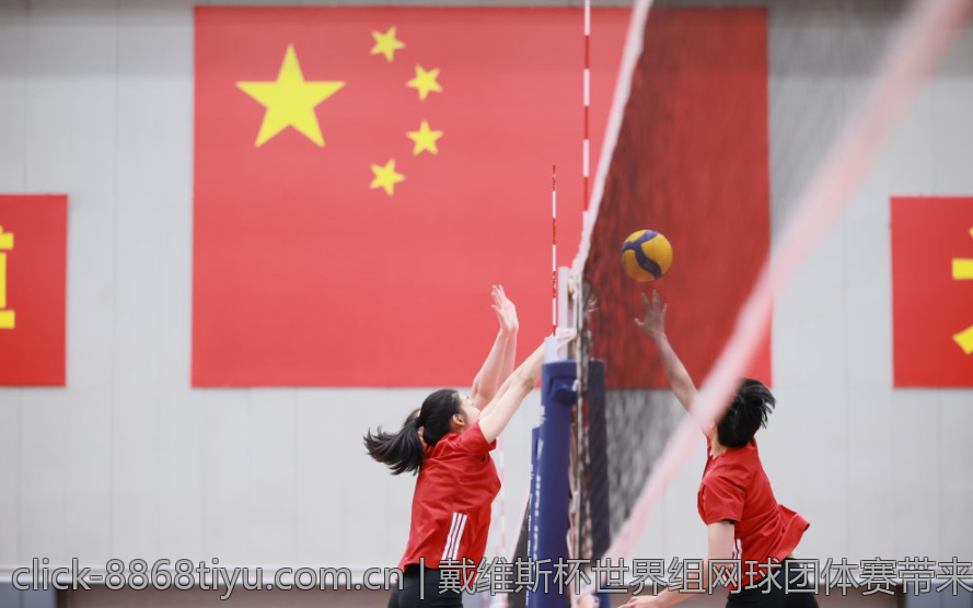 戴维斯杯世界组网球团体赛带来的团结与竞技精神的体现